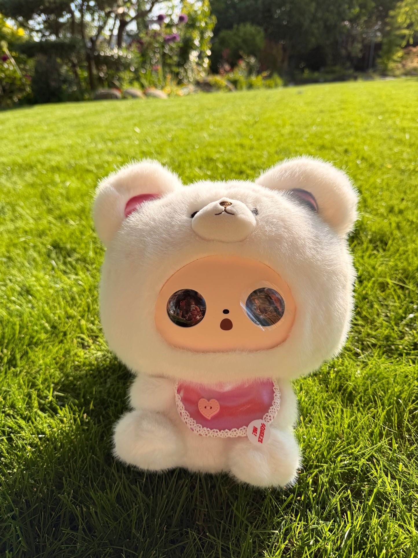 Conoce a Mimoochi Hug