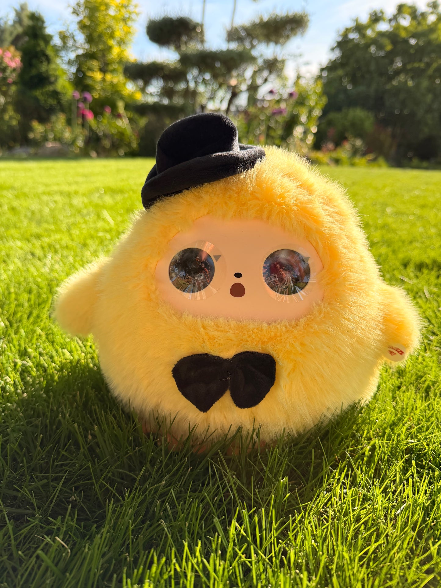 Conoce a Mimoochi Hug