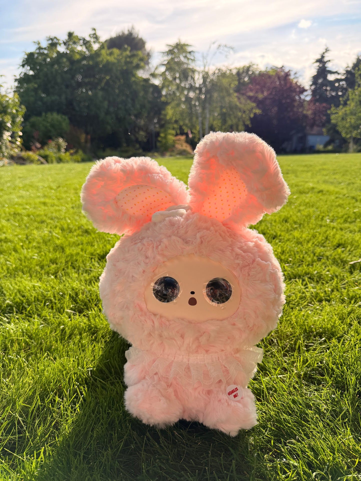 Conoce a Mimoochi Hug