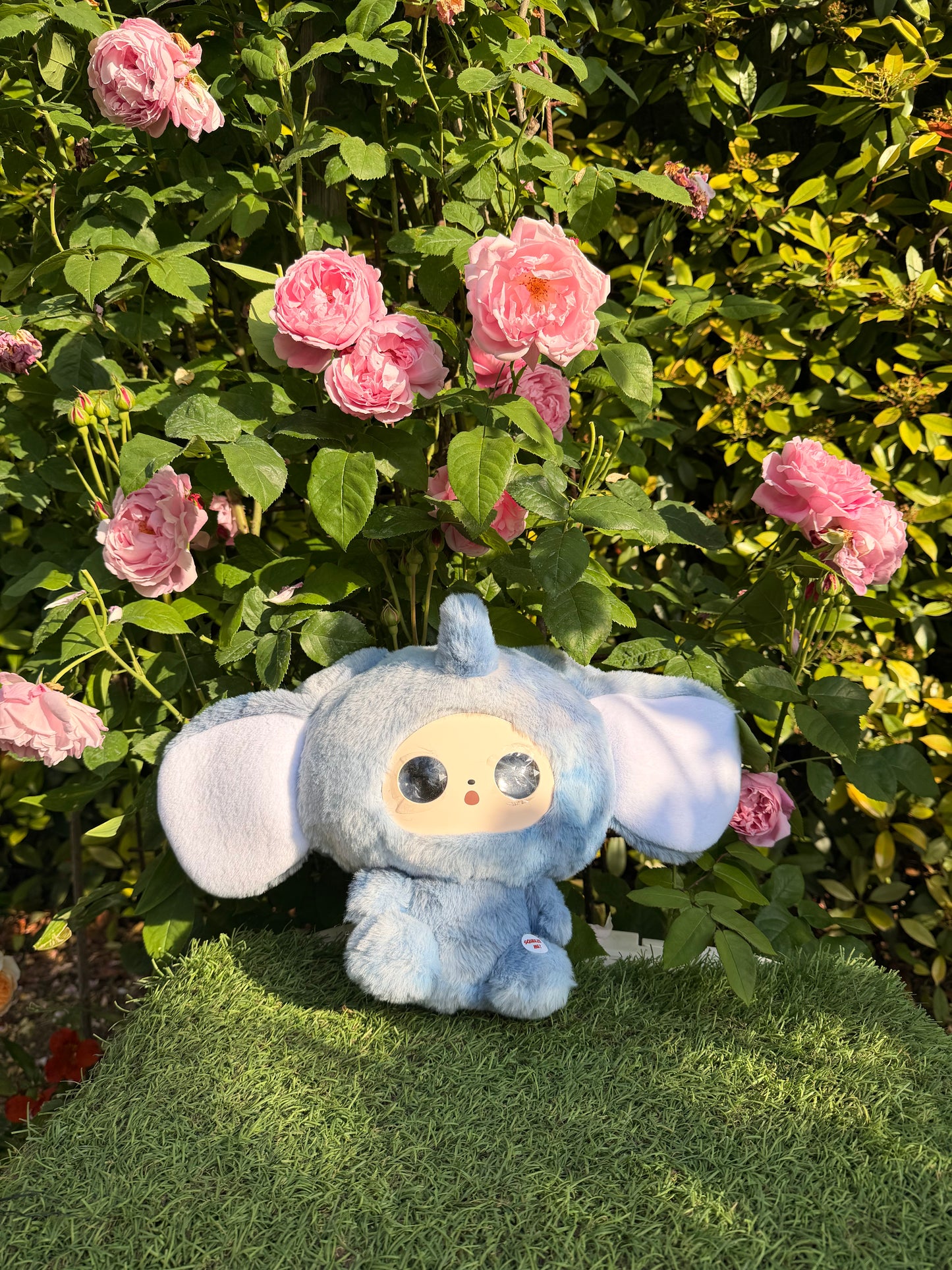Conoce a Mimoochi Hug